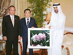 ���n�}�h�E�A�u�_�r�c���q�Ɖ�k